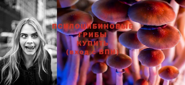 дживик Белокуриха
