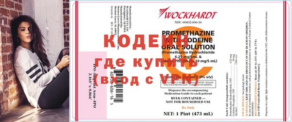 дживик Белокуриха
