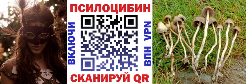 Псилоцибиновые грибы прущие грибы  что такое наркотик  Красный Сулин 